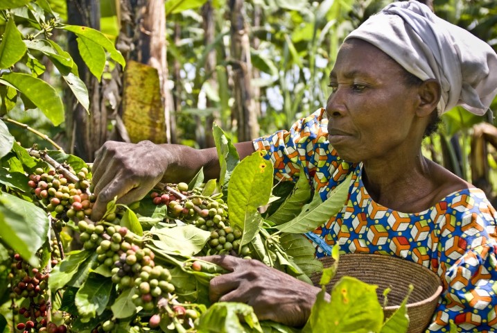 Mujeres agricultoras en Uganda 2 Small